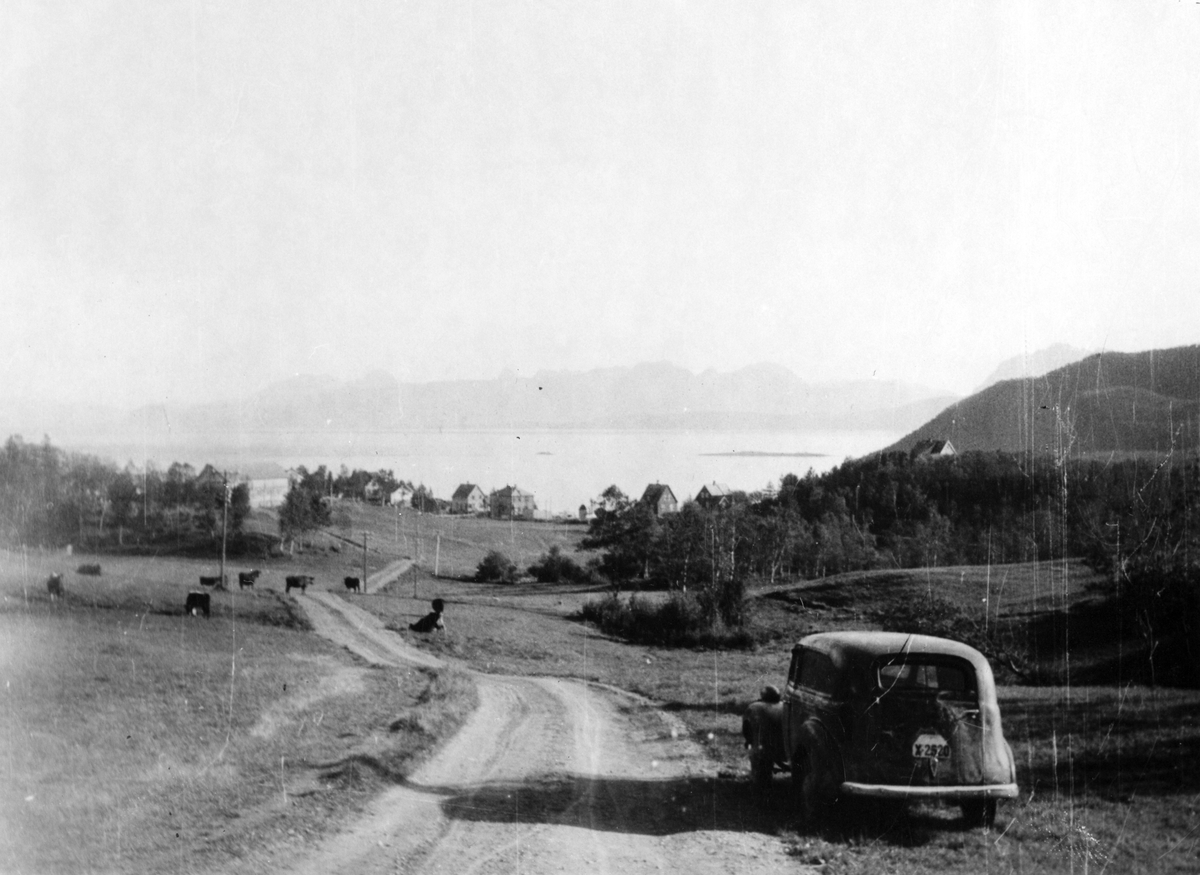 Utsikt fra Skaret. I forgrunnen står en bil, kyr beiter i bakgrunnen.