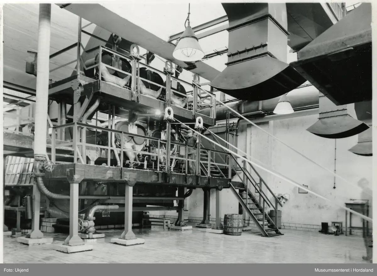 Ulike ledd i produksjonen ved Trengereid Fabrikker, truleg ca. 1950-52.