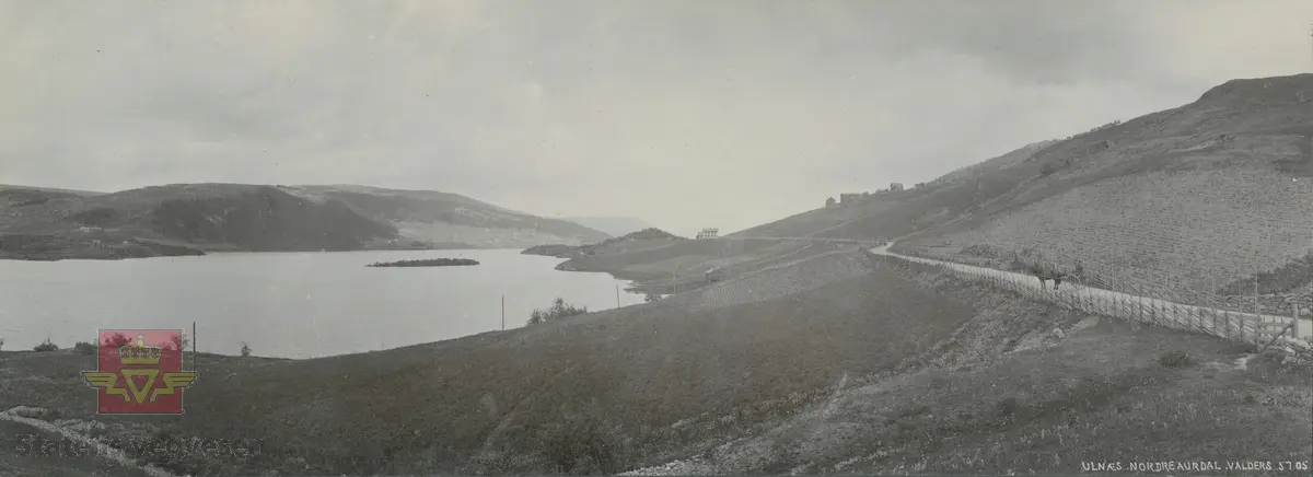 Album fra 1903-1908. Veg i Ulnes, Nordre Aurdal med skigard langsmed vegkanten. Hest med  stolkjerre står på vegen. 05.07.1905.