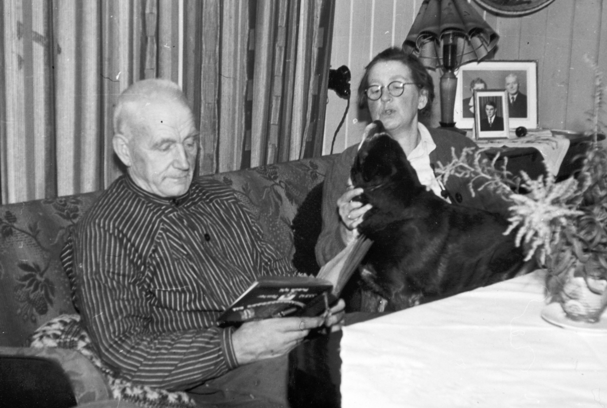 Jacob og Helga Tomter på føderåden på Søndre Tomter (Ner-Tomter) på 1950-tallet.