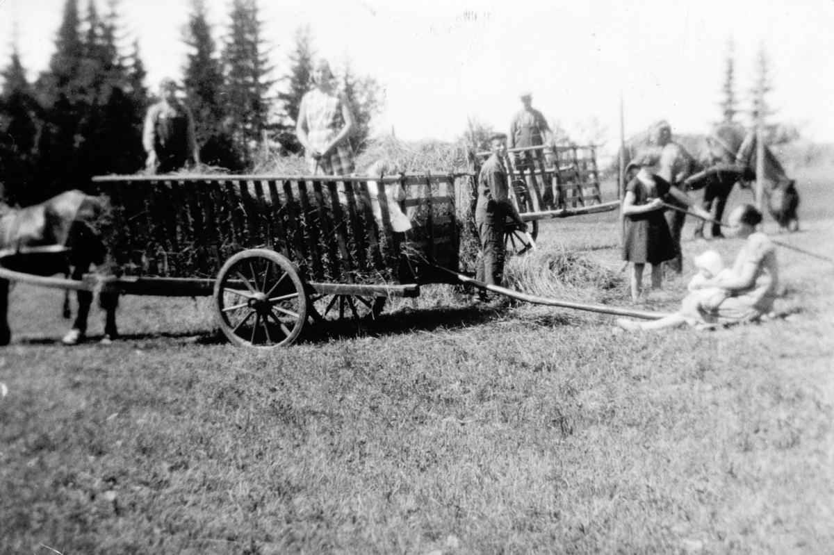 Slåttonn på Søndre Tomter (Ner-Tomter) 1933. I høykjerra slår f.v. Leif og ei stuejinte, Marta skimtes sittende i kjerra, foran står Gudmund og lesser høy, Signe raker etter henga, Kåre lesser høy, Jacob står i bakre høykjerre. På bakken sitter Inga Tomter med nevøen Harald.