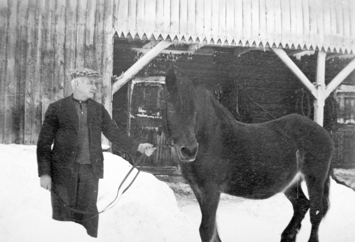 Jacob Tomter med hest utenfor stallen på Søndre Tomter (Ner-Tomter) før 1938 da fjøset ble tilbygd.