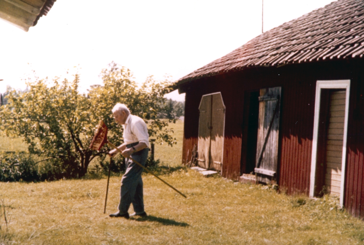 Jacob Tomter på føderåden på Søndre Tomter (Ner-Tomter) sommeren 1972