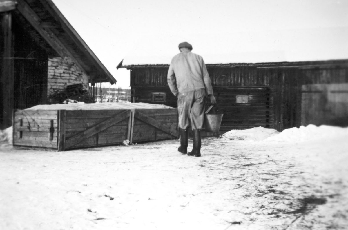 Sveiseren Nils Nybakken går med vatn til sauene på Søndre Tomter (Ner-Tomter). Han var sveiser her fra 1945.