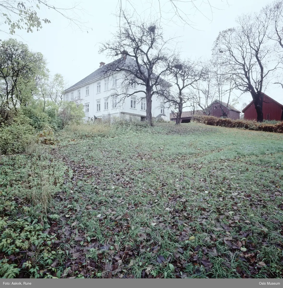 Vestre Aker prestegård, Nedre Blindern gård, hage, bolighus, uthus