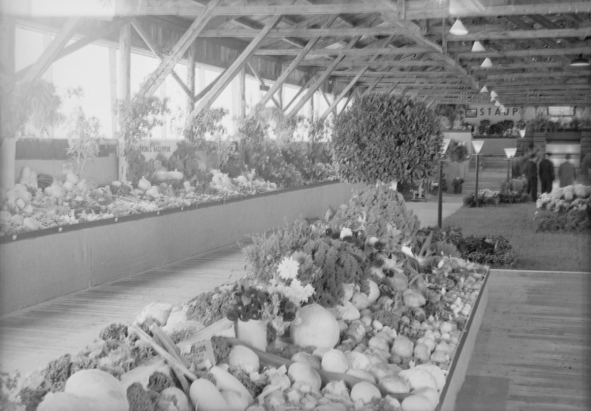 Jubileumsutstillingen i Levanger 1936 - innhøstede varer