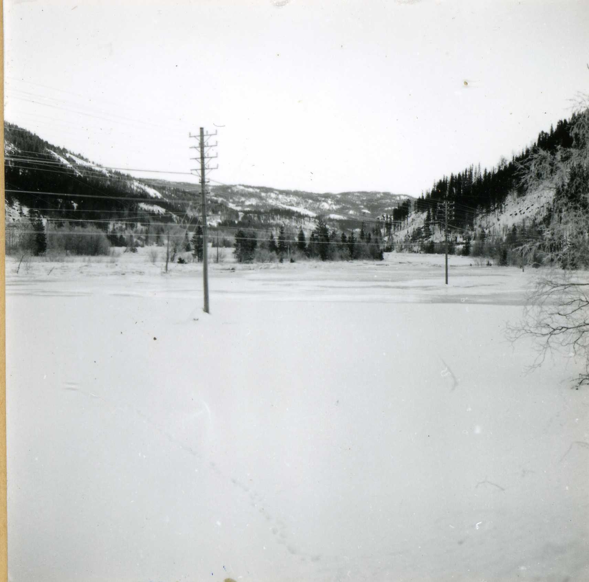 Eiendoms og byggningsforvaltning (286)