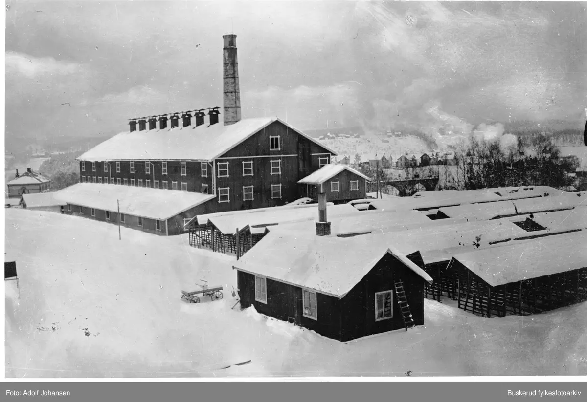 Hønefoss teglverk
Teglverket ble anlagt i Riperbakken i 1868, etter at NSB ekspropierte grunnen der den opprinnelig lå, på Grand hotels grunn