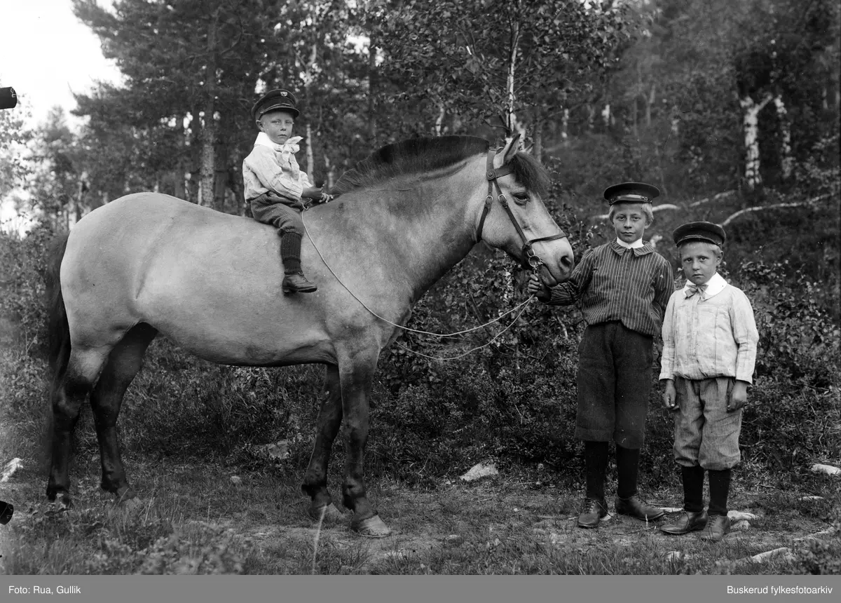 Tra barn og en hest
På hesten Jon K Rønningsdalen (1893....) Ola K Rønningsdalen (Stordalen) (1886.....) og Anders K Rønningsdalen (1888....) Jondalen 1898