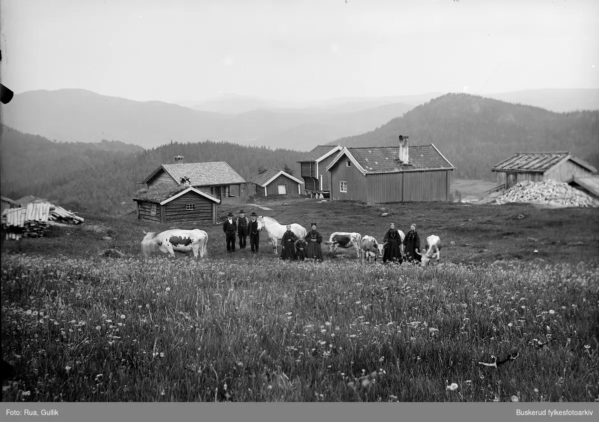 gården til  Berit K. Lande
Gården er Øvre Lande
Flesberg 1899

familie med kyr og hester