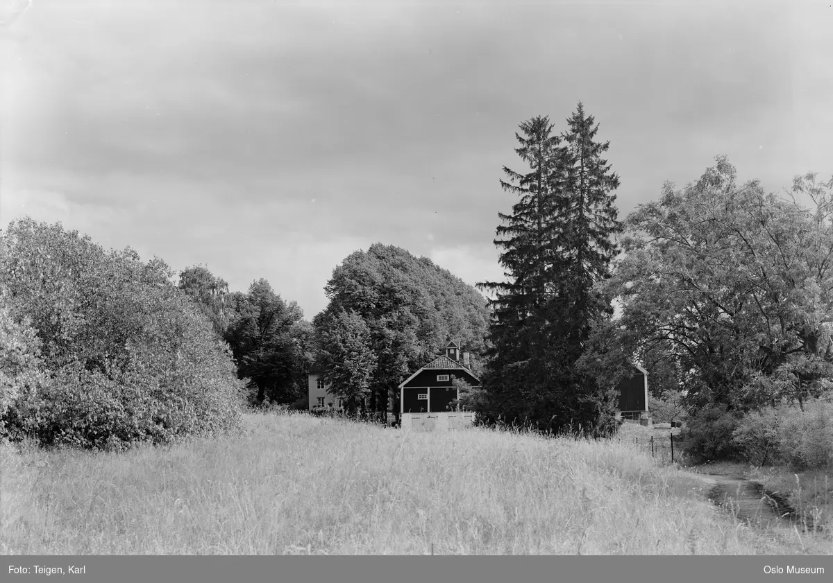 Søndre Høvik gård, eng, uthus, skog