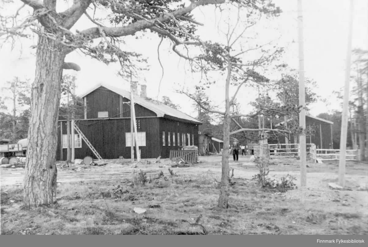 Telegrafverkets anlegg i Alta er flotte saker, mai 1946. 3. september i 1945 startet Elisabeth Leinan og bestyrer Gunnar Ballo opp medteletjenester fra et telt i Bossekop. Telegrafverket  (som det het til 1969) fikk satt opp flerebrakker på Bossekop-bakken, og holdt til her til 1960 da dagens Telestasjon i Bossekop ble innviet.