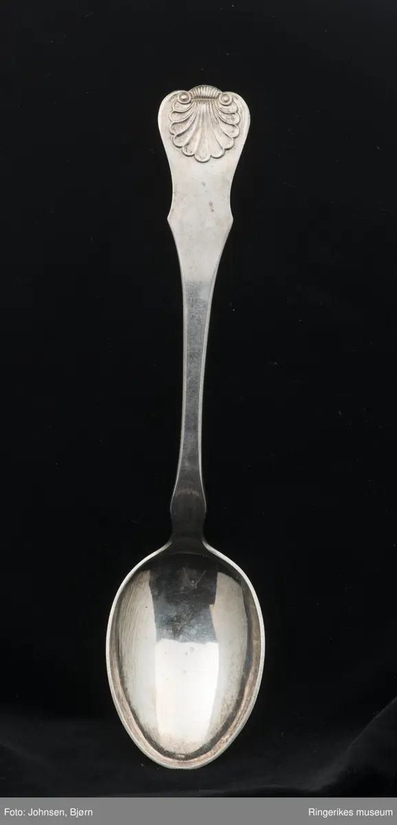 musling skjell