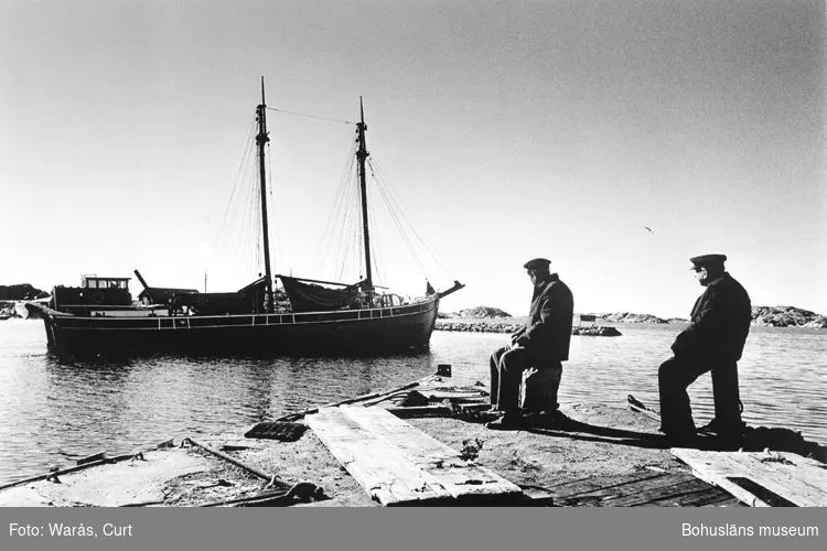 Träskutan m/s Vega lämnar Skärhhamn i september 1966