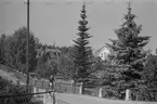 En cyklist på Furubackavägen i Malmslätt, 1940-tal.