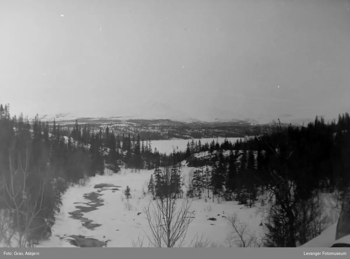 Elv i vinterlandskap