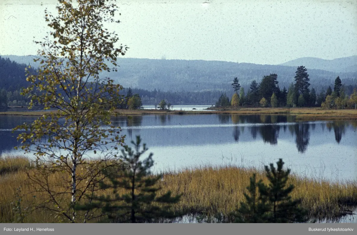 Vælsvannet i Ådal