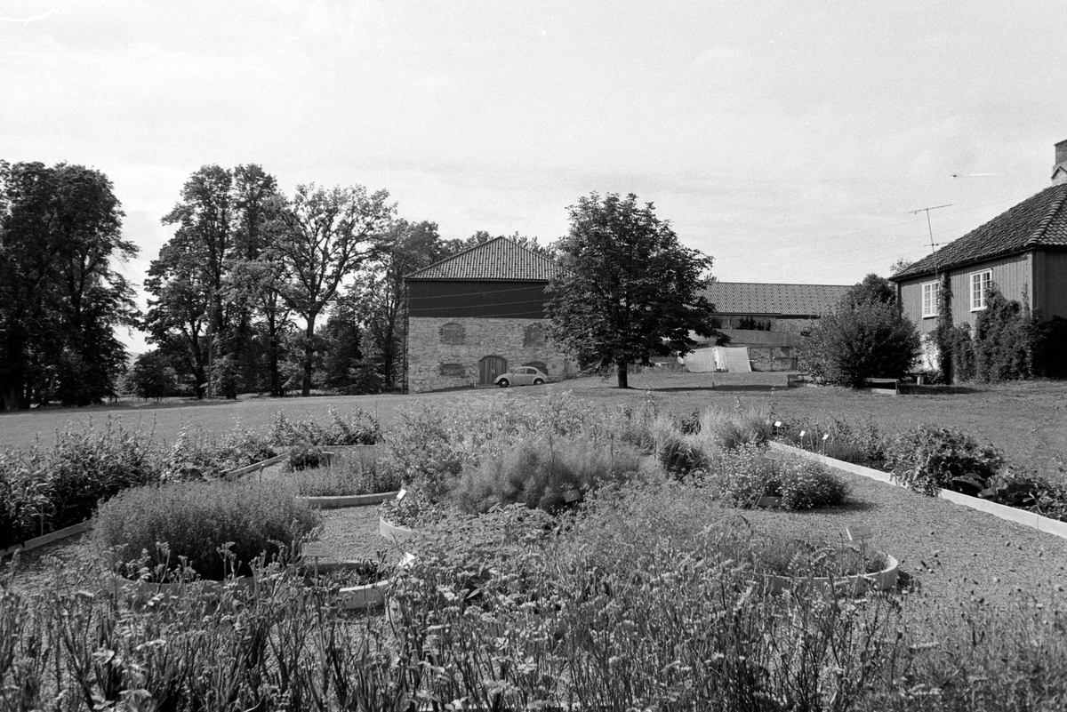 HDH. 100. Urtehaven, urtehagen på Hedmarksmuseet. Hagen ble etablert i 1975, utvidet i 1989 og inneholder nå ca 400 forskjellige planteslag. 