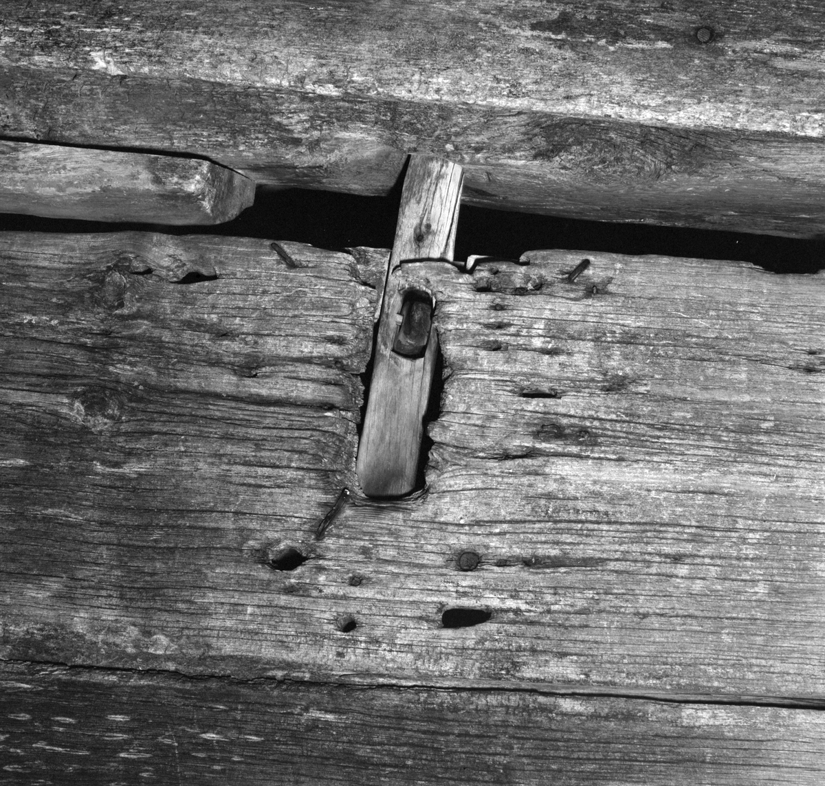 Lås, tre. Trelås. 
Viksdalen, Gaular kommune i Sogn og Fjordane. 
Foto Jan Haug, Domkirkeodden. 