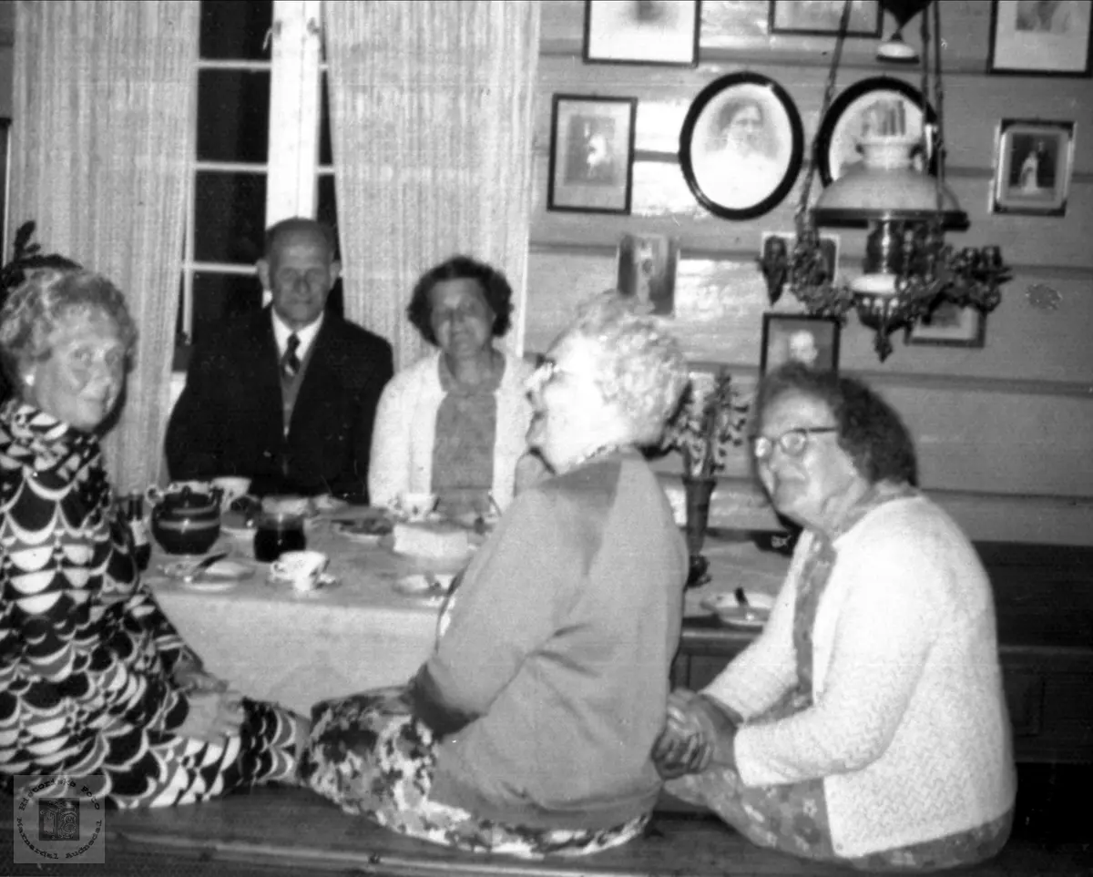 Besøk frå Lyngdal og USA på Røynesdal.
Ukjent dame er Ovidia Nilsen, født Røynesdal . datter til Marie og Ole Røynesdal