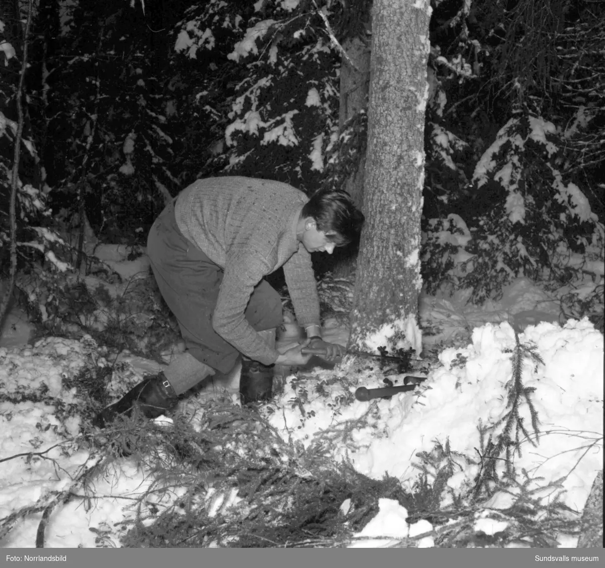 Stavre skogsskola, vintrigt reportage om skogshuggning