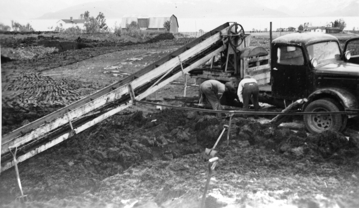 Fra maskintorv produksjon på Tjeldsnes, Skagen, Hadsel. Denne produksjonen varte i kun 2 år - 1957-58. Gården til Nils Hov i bakgrunnen.