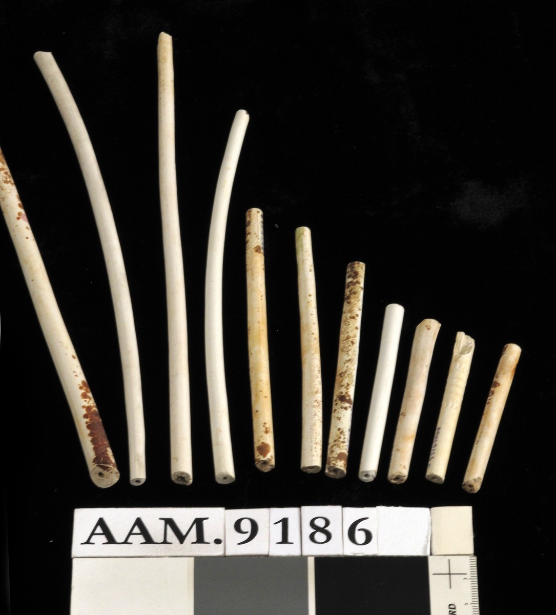 To skjold, Goudas bystempel./ to skjold i relieff med perlerand,/ r