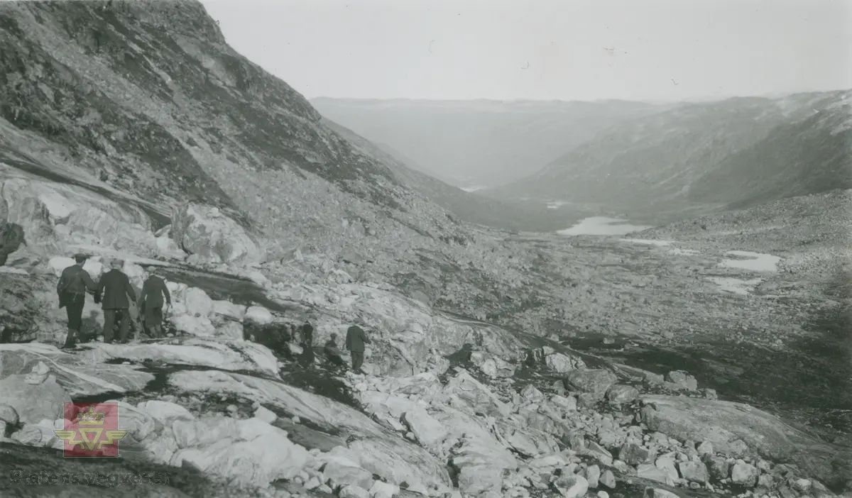 Album fra 1929-1943. Jostedalslinjen. Steinur nedover Surtbyttdalen mot Skjåk.