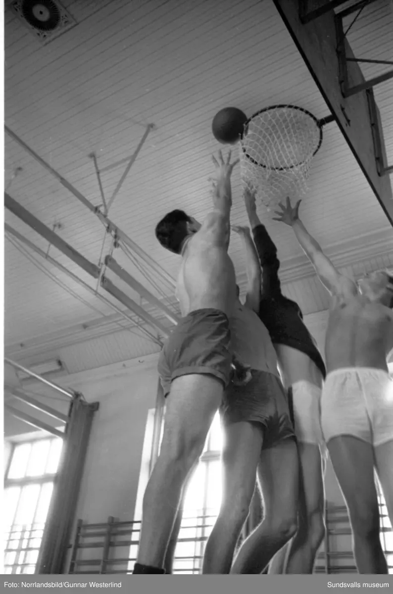 Reportagebilder om ungdomens vintersportlov, fotograferat för Dagbladet. Basket, ishockey, simning, brottning.