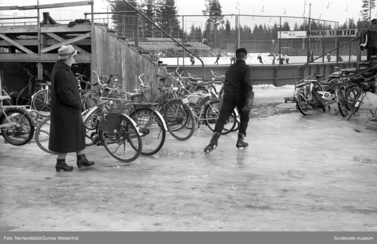 Reportagebilder om ungdomens vintersportlov, fotograferat för Dagbladet. Basket, ishockey, simning, brottning.