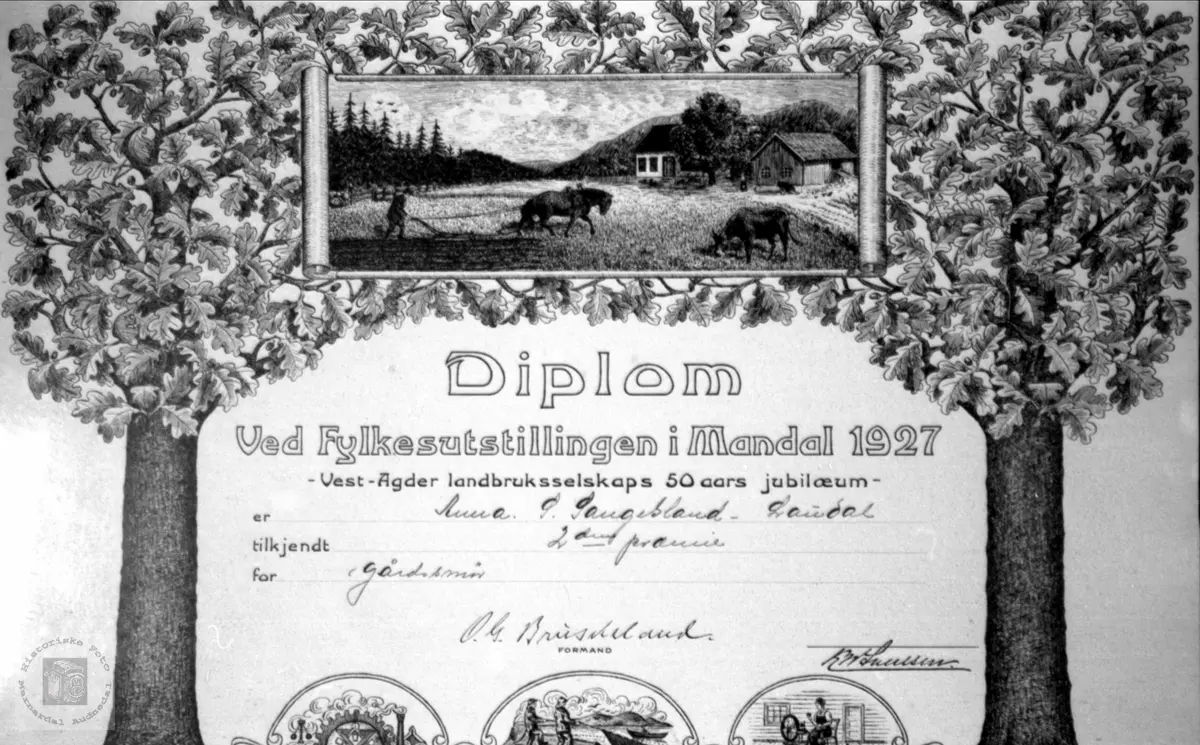 Diplom ved fylkesutstillinga i Mandal 1927, Tildelt Anna Sangesland.