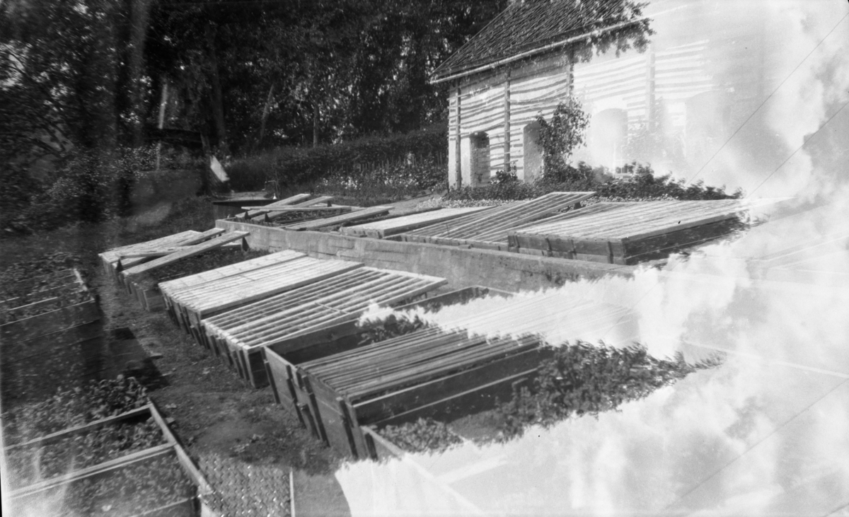 Hageanlegg, grønnsakshage. Ulefoss hovedgård.