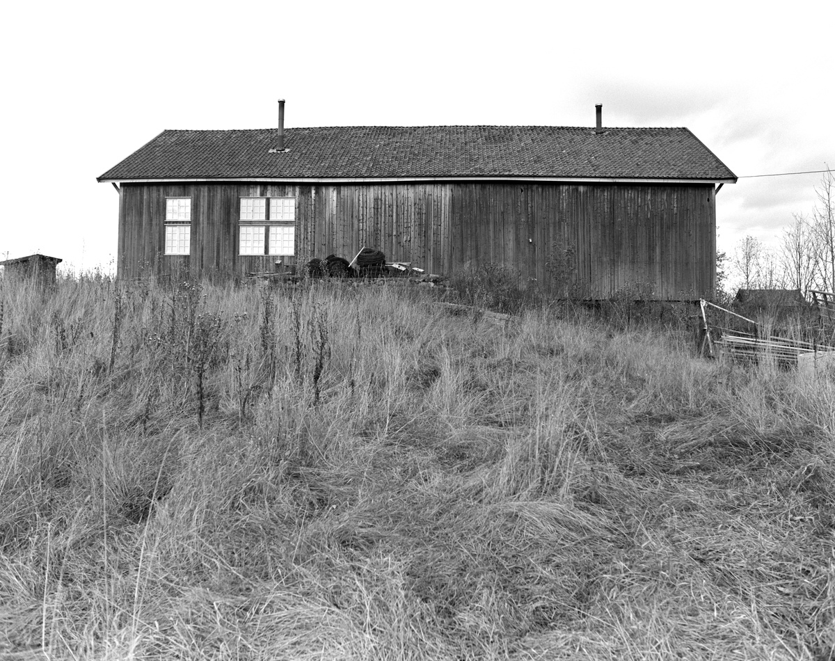 Stange, Sørum gård, eier billedhugger Knut Wold, 