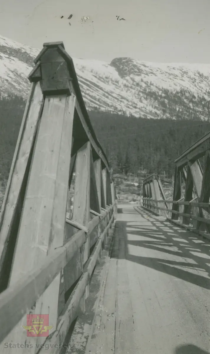 Album fra 1929-1943. Dønfoss bru. Detaljer.
