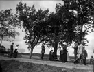 Promenad på vägen mellan stallarna och slottet. Strömsholm 1910-11.