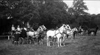 Köruppvisning på österängen, med fyrspann, par och enbett. Strömsholm 1910-11.