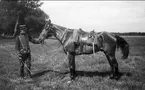 Elev med tjänstehäst. Varför officer, tjänstehäst manskapssadel, filt och officerssabel? Hästen bränd i manken? Strömsholm 1910-11.