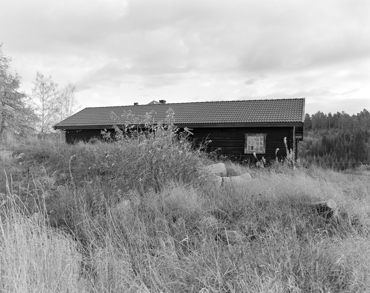 Stange, Sørum gård, eier billedhugger Knut Wold, 