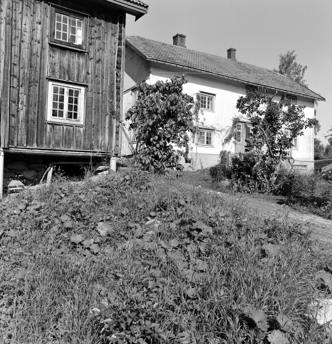 Sørum gård, Stange. 
Gnr.131 , bnr.1.