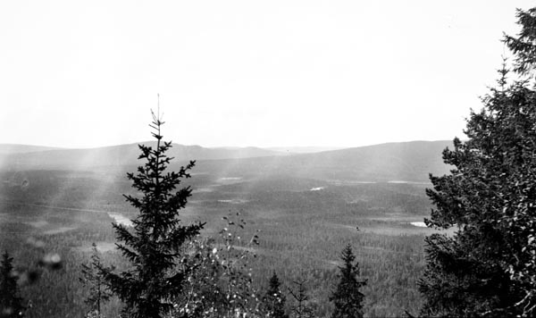 Utsikt fra Juvberget - antakelig den såkalte Juvbergshetta (610 meter over havet) - som ligger mellom øvre del av elva Flisa og svenskegrensa.  Fotografiet er antakelig tatt med kameraet vendt i vestlig retning - over skog- og myrarealene langs Øvre Flisa, mot Lindberget.