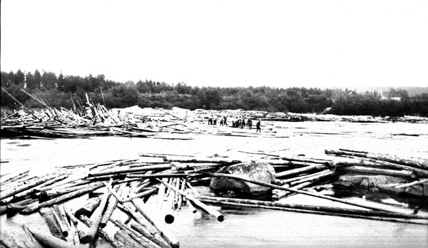 Tømmervaser ved Gjølstadfossen i Brandval i Hedmark i august 1921. Bildet er tatt på tvers av elveløpet. Her var det et åpent far i midten, men langs begge elvebreddene hadde det stuvet seg opp fløtingstømmer. På den andre sida skimter vi et fløterlag som var i gang med å arbeide ut tømmeret. Gjølstadfossen er et cirka 600 meter langt parti med et samlet fall på snaut 2 meter. Her var det en del oppstikkende steinskjær, som hadde lett for å binde tømmer når vannføringa var liten. I flomperiodene derimot hevet vannspeilet seg over disse steinskjærene, og tømmeret strøk forholdsvis lett forbi.