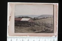 Harald Renbjørs bilder i Autochrome