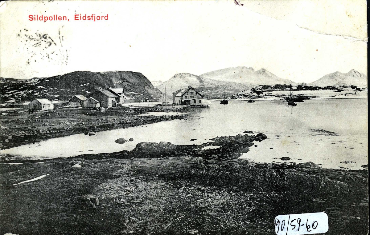 Sildpollen handelssted ca 1890. Butikken til Christian Hals med leilighet i etasjen over og lagerbygg i forlengelsen utover. Det lave bygget er manufakturbutikk, populært kant "Lundebutikken". Bygget til venstre med ark var opprinnelig bakeriet i Kjøldraget før det blei flytta til Sildpollen og brukt som kafé og losji for tilreisende. Det neste store huset blei bygd i 1881 som telegrafstasjon med leiligheter for telegrafistene i andre etasje. Ellers ser vi fjøset til Hals og noen lagerbuer.