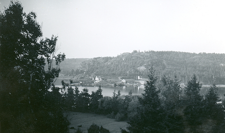 Sommaren 1939? Utsikt från tomten mot sydost. Vindön med tre färjelägen.