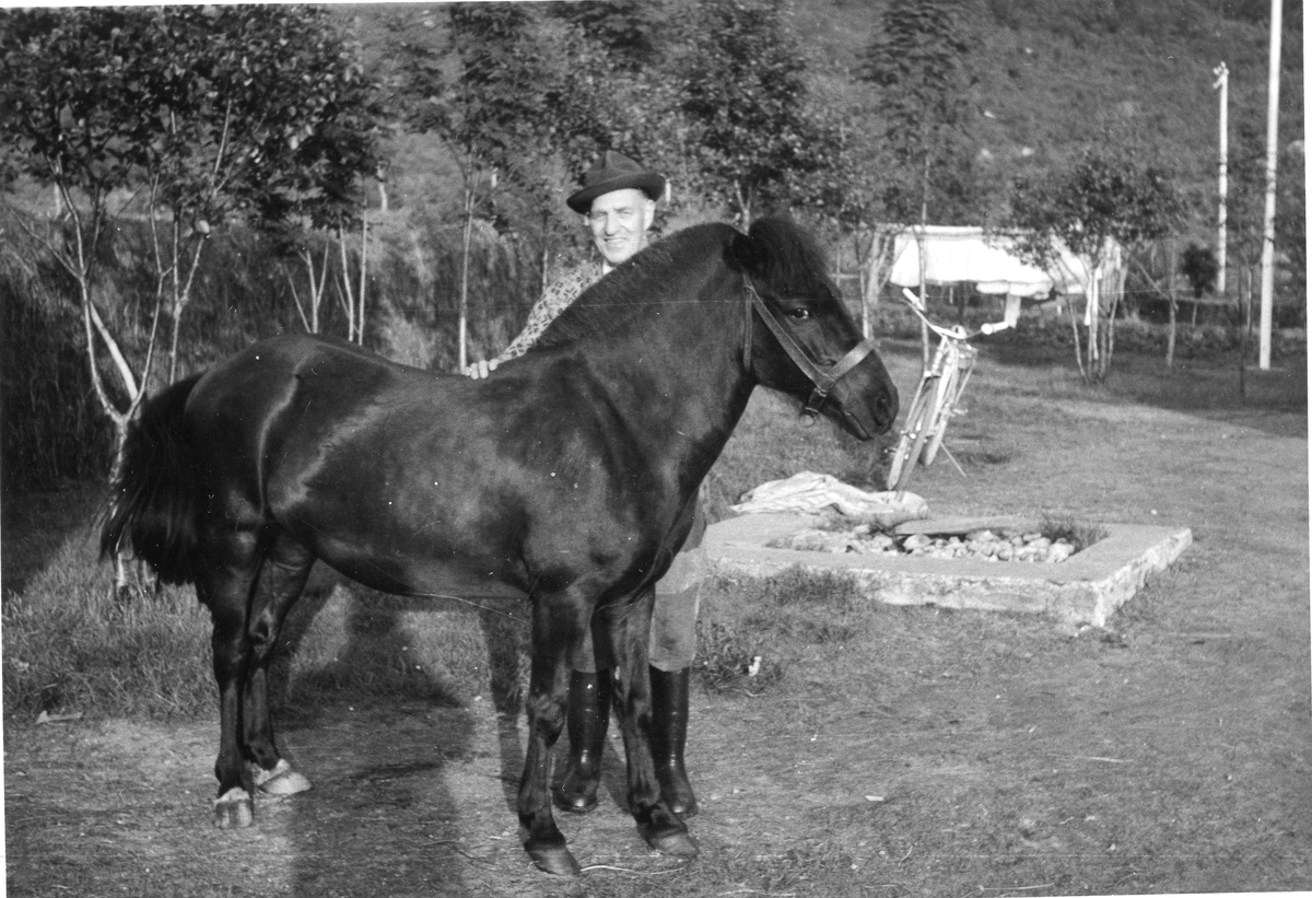 Arne kristian Iversen (1910-1994)

Par 1939

m. hesten Monte Carlo

Bruksnr. 123