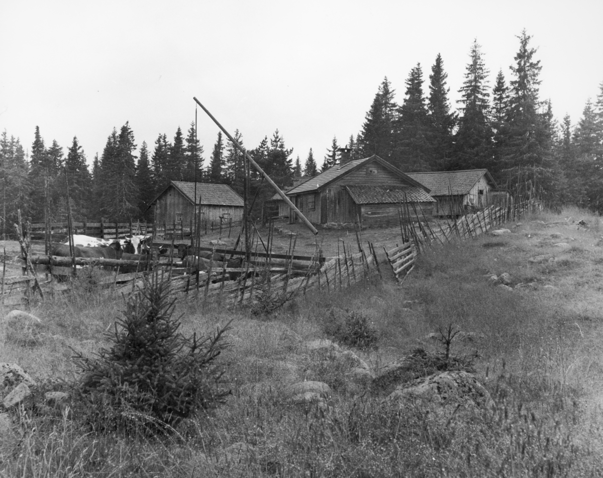 Haugsætra, Vang Allmenning. Blystadstørhuset. Her var det sæterdrift fram til ca. 1950.