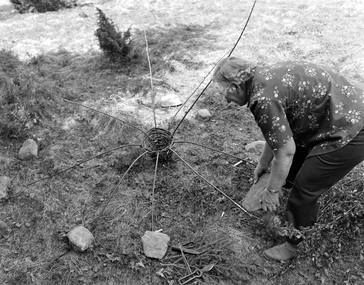 Aslaug Johannessen, Solbakken, Furnes. Kurvfletting, abborkupe, abborruse, vierkupe, fiske, fiskemetode.
