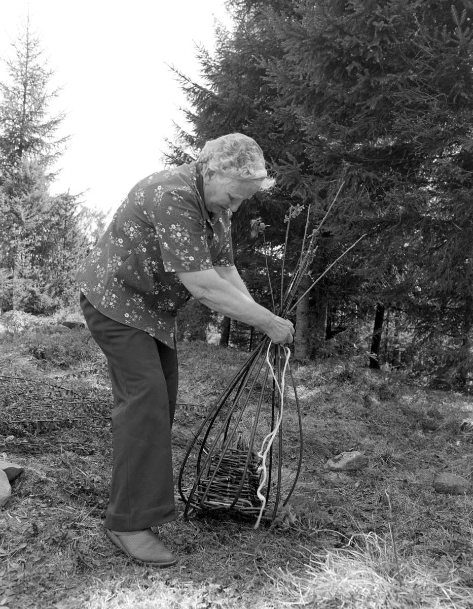 Aslaug Johannessen, Solbakken, Furnes. Kurvfletting, abborkupe, abborruse, vierkupe, fiske, fiskemetode.

