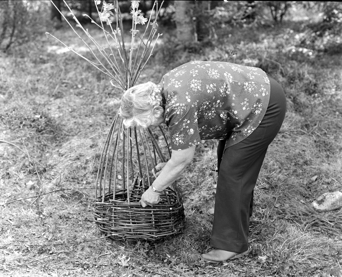 Aslaug Johannessen, Solbakken, Furnes. Kurvfletting, abborkupe, abborruse, vierkupe, fiske, fiskemetode.
