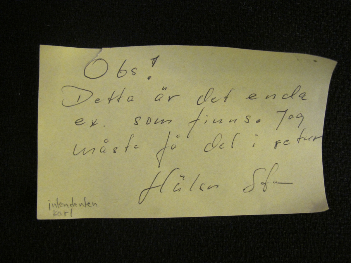 Rund mattallrik, vit med grön dekor. dekor i form av en kätting/kedja runt kanten som bryts upptill av en namnskylt "ISBRYTAREN II" omslutet av ett ankare. Nedtill bryts kättingen av ett emblém med Sankt Erik i.